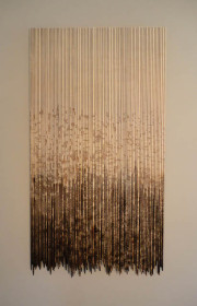 Burned Lines ll